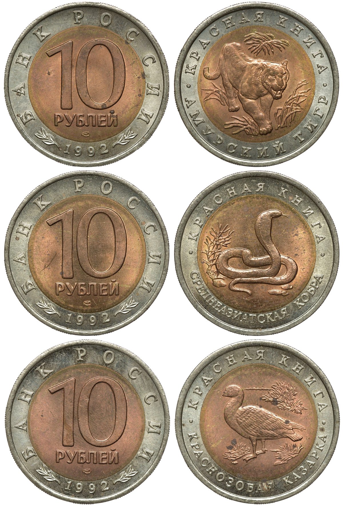 Россия лот из 3 монет по 10 рублей 1992 серия Красная книга, краснозобая казарка, амурский тигр, среднеазиатская кобра KM 307, 308, 309 биметалл 1519-742