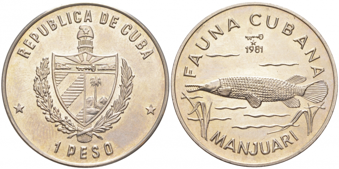 Куба 1 песо 1981 фауна Кубы, манджуари (manjuarí) KM 65 медно-никель UNC 1526-134 M8-1