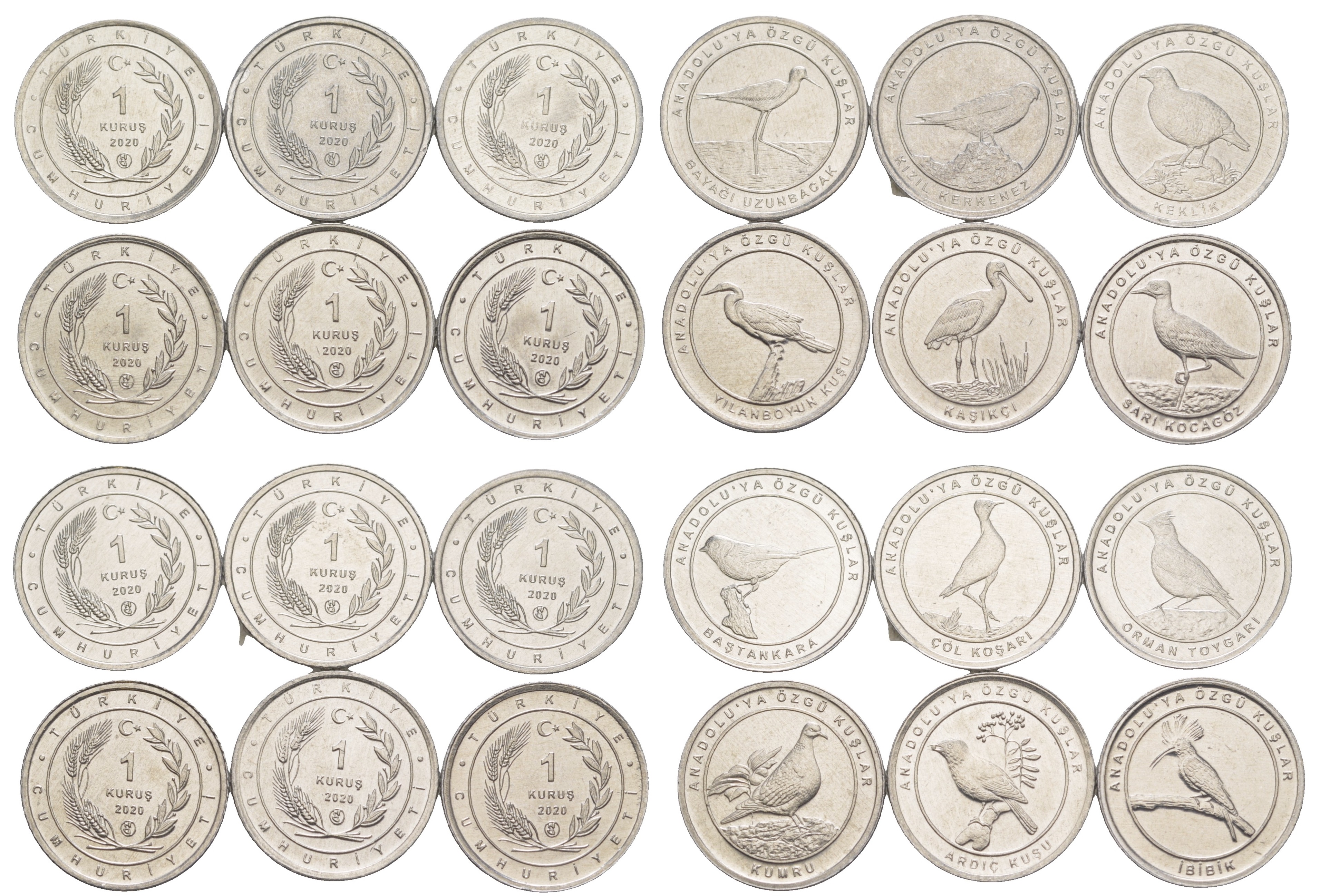 Турция лот из 12 монет номиналом 1 куруш 2020 Анатолийские птицы KM NEW алюминий  UNC  M67-20