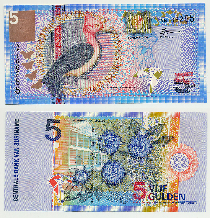 Суринам 5 гульденов 2000 птица Red-necked woodpecker, TDLR Pick 146 бумага UNC (пресс) 7485-41-1