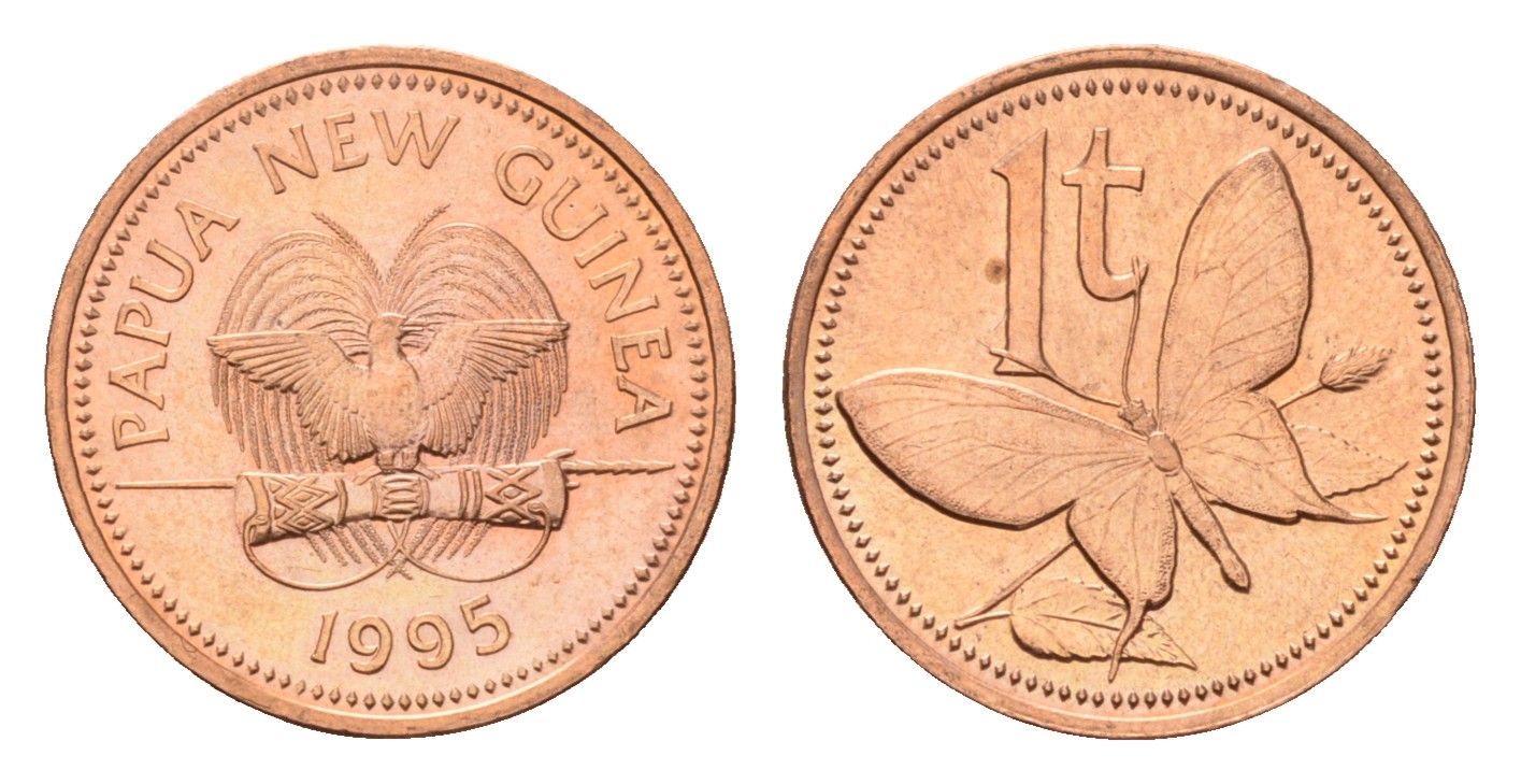 Папуа - Новая Гвинея 1 тойя 1995 KM 1 бронза UNC 4614-664
