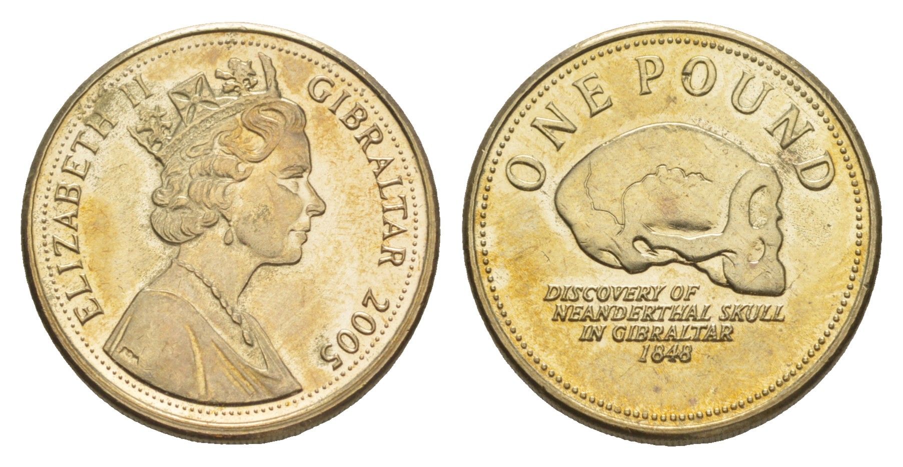 Гибралтар 1 фунт 2005 Елизавета II (1952-2022) KM 1091 никель латунь UNC 4646-1113