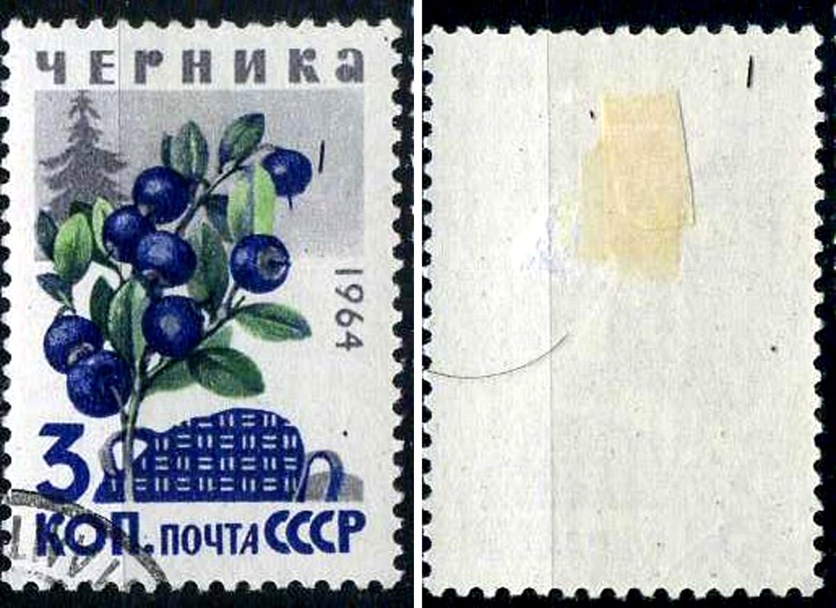 СССР марка 3 копейки 1964 Ягоды - черника Загорский 3049 почтовое гашение 8699-8-7-2
