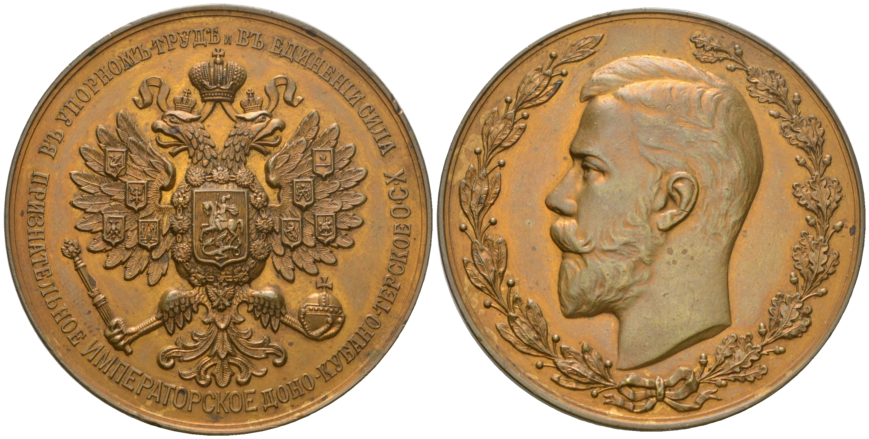 Россия медаль ND (1908-1909) Императорское Доно-Кубано-Терское общество сельского хозяйства Дьяков 1471.1 R бронза    00-802-76