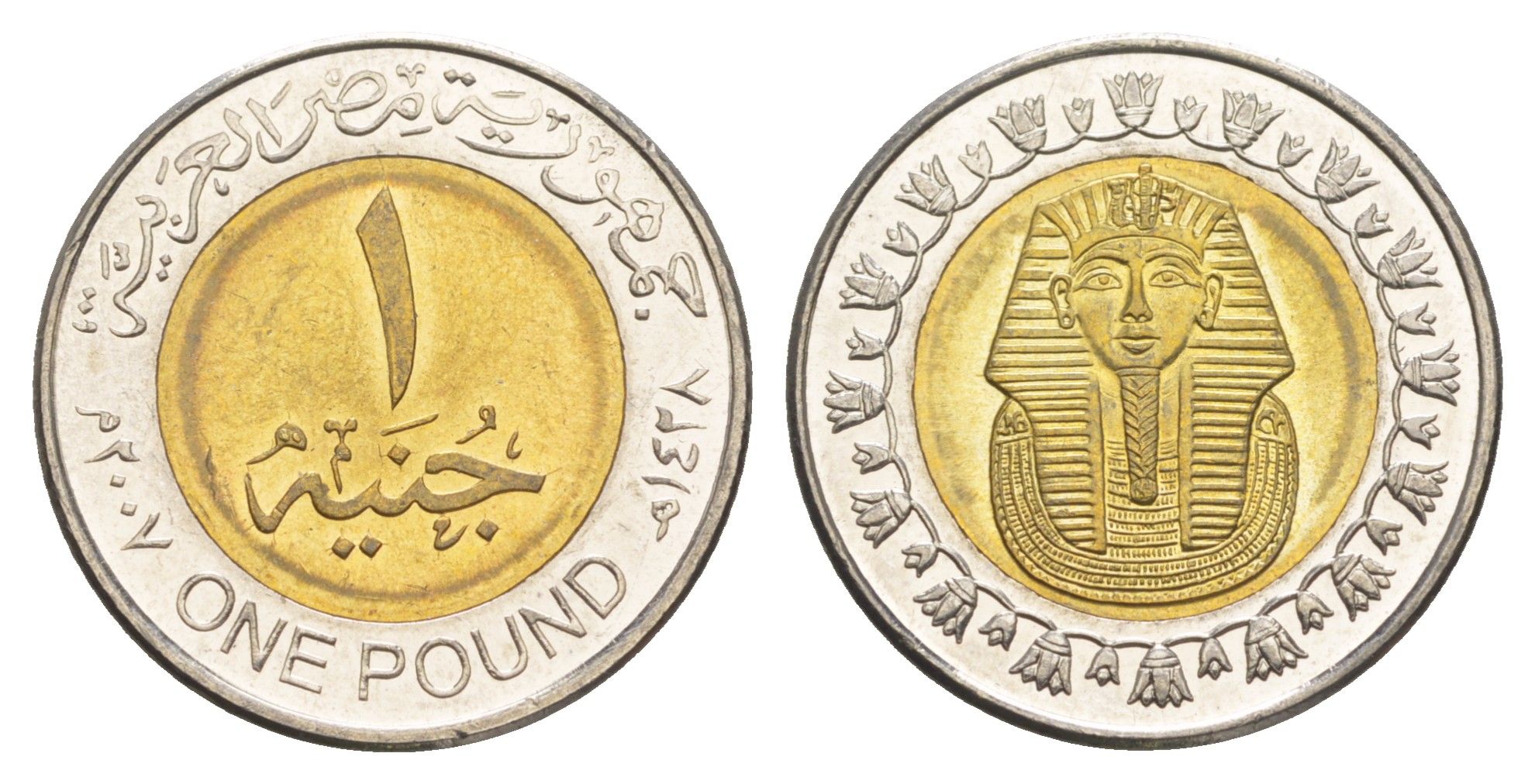 Египет 1 фунт 2007 KM 940a биметалл UNC 4652-1242