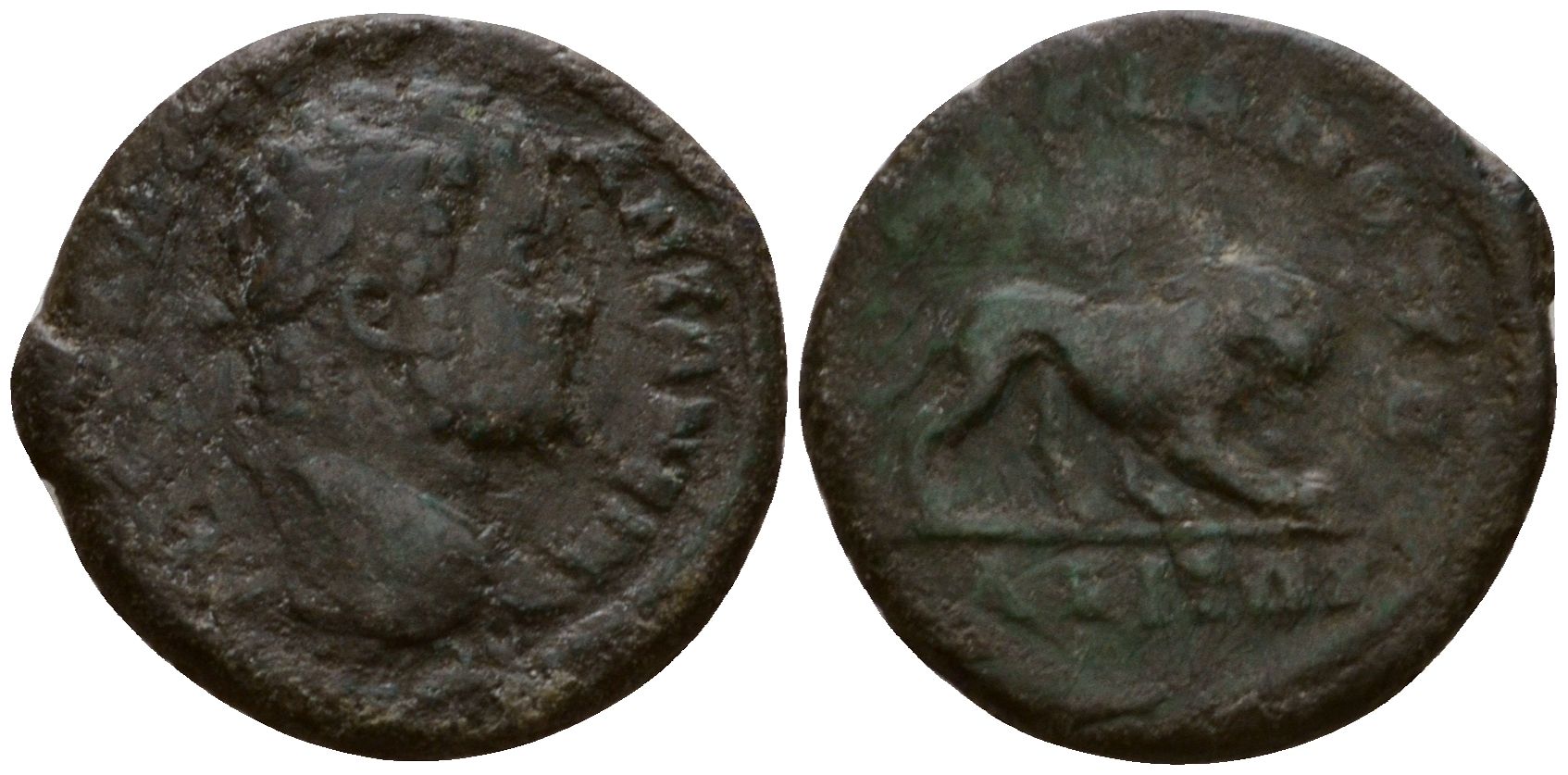 Римская Империя, Провинция Нижняя Мезия, Маркианополь AE 198 - 217 Каракалла, бюст императора / лев Varbanov 909, Moushmov 442 бронза 1100-8-16