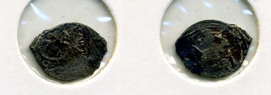 РОССИЯ БОРИС СУЗДАЛЬСКИЙ ПЕТУХ ТРОН сер 507-711