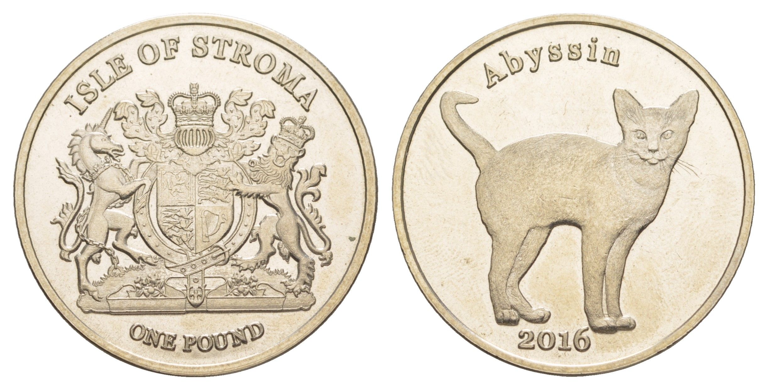 Остов Строма (Шотландии) 1 фунт 2016 серия Кошки - Абиссинская кошка медно-никель UNC 4645-422