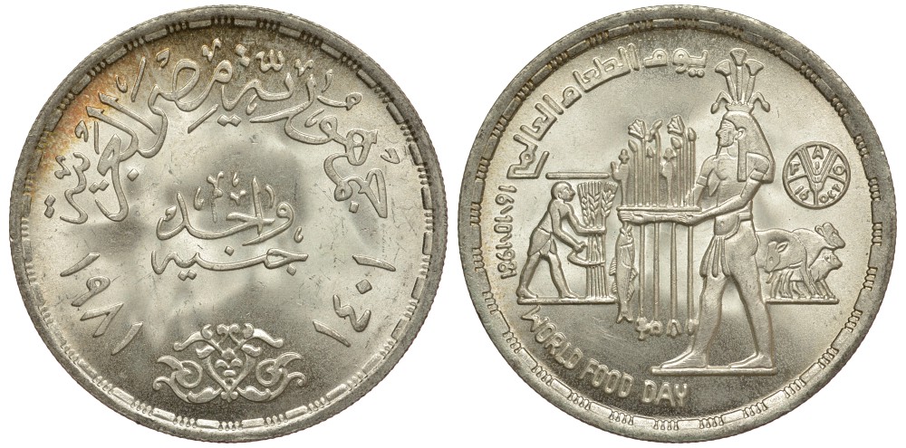 Египет 1 фунт 1981 АН1401, FAO, всемирный день еды,земледелец, быки, тираж 50000 экз. KM 523 серебро UNC 603-222