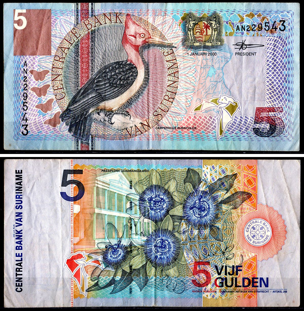 Суринам 5 гульденов 2000 птица Red-necked woodpecker, TDLR Pick 146 бумага 3295-103-2-1
