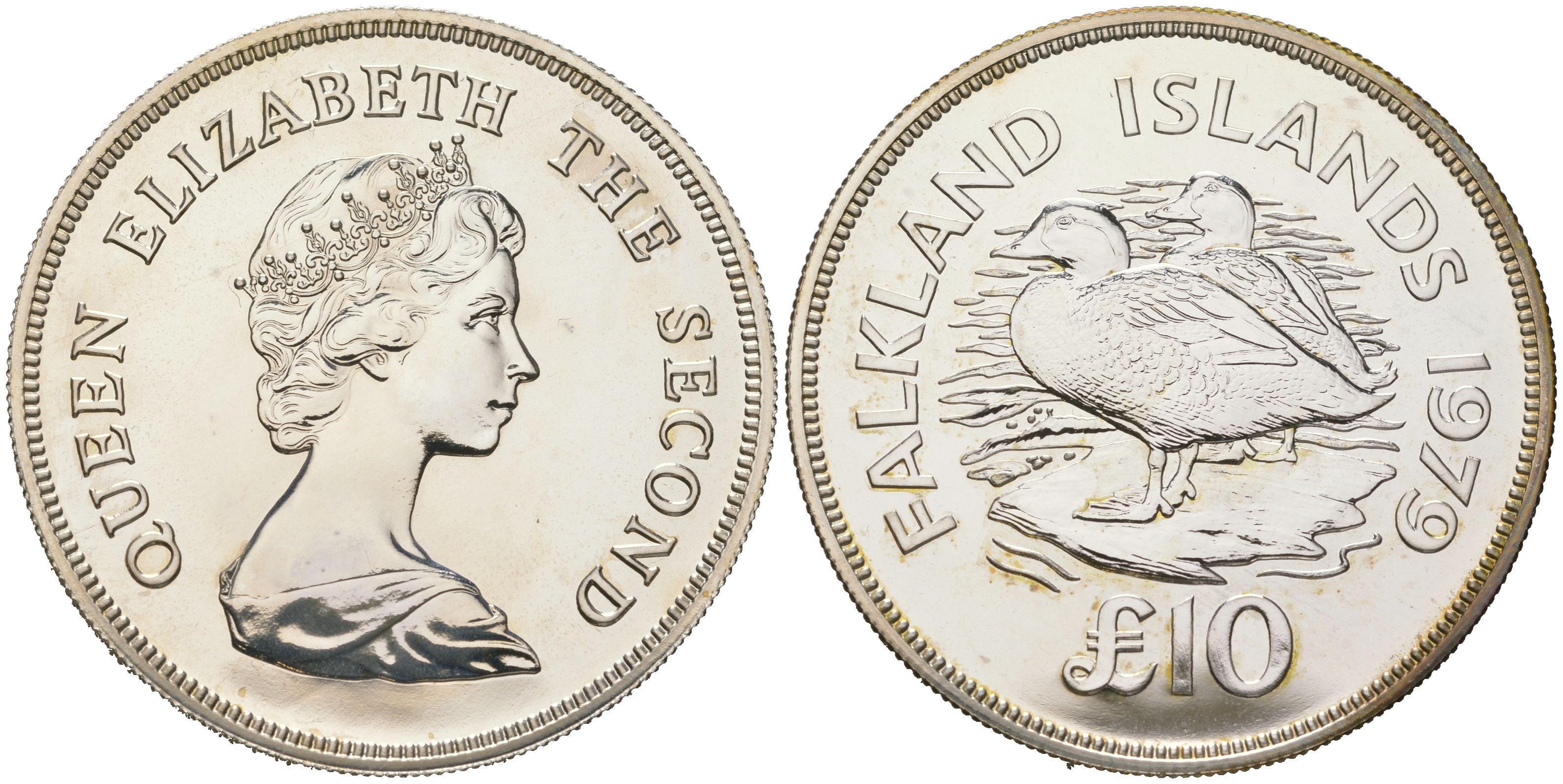 Фолклендские острова 10 фунтов 1979 серия сохраним наш мир, утка - пароход KM 12 серебро BU 11-327-14