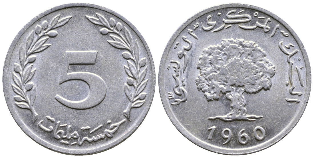 ТУНИС 5 МИЛЛИМОВ 1960 ДЕРЕВО КМ 282 алюминий 56-1244