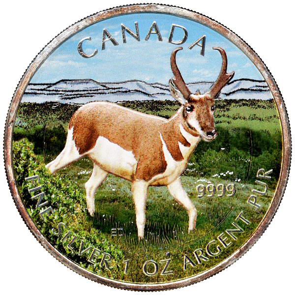Канада 5 долларов 2013 серия Животный мир Канады, антилопа, в оригинальной коробке с сертификатом тираж 5000 экз., цветная эмаль серебро UNC 5-5-1-10
