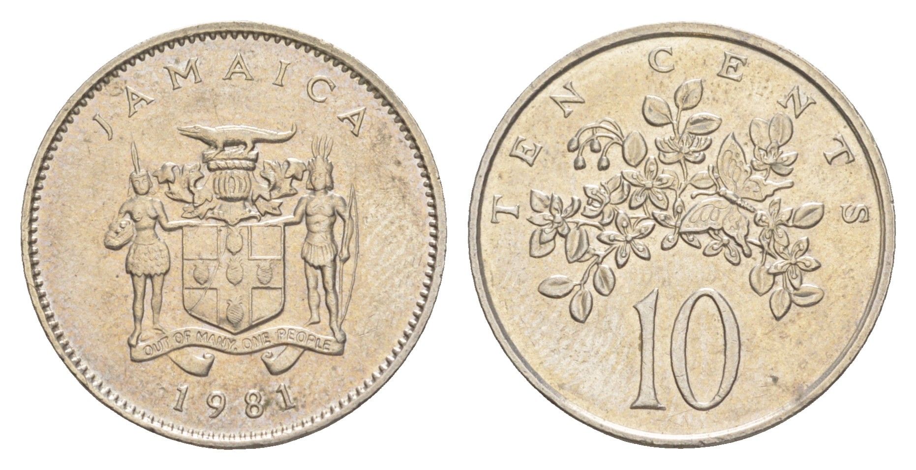 Ямайка 10 центов 1981 KM 47 медно-никель UNC 4642-1016