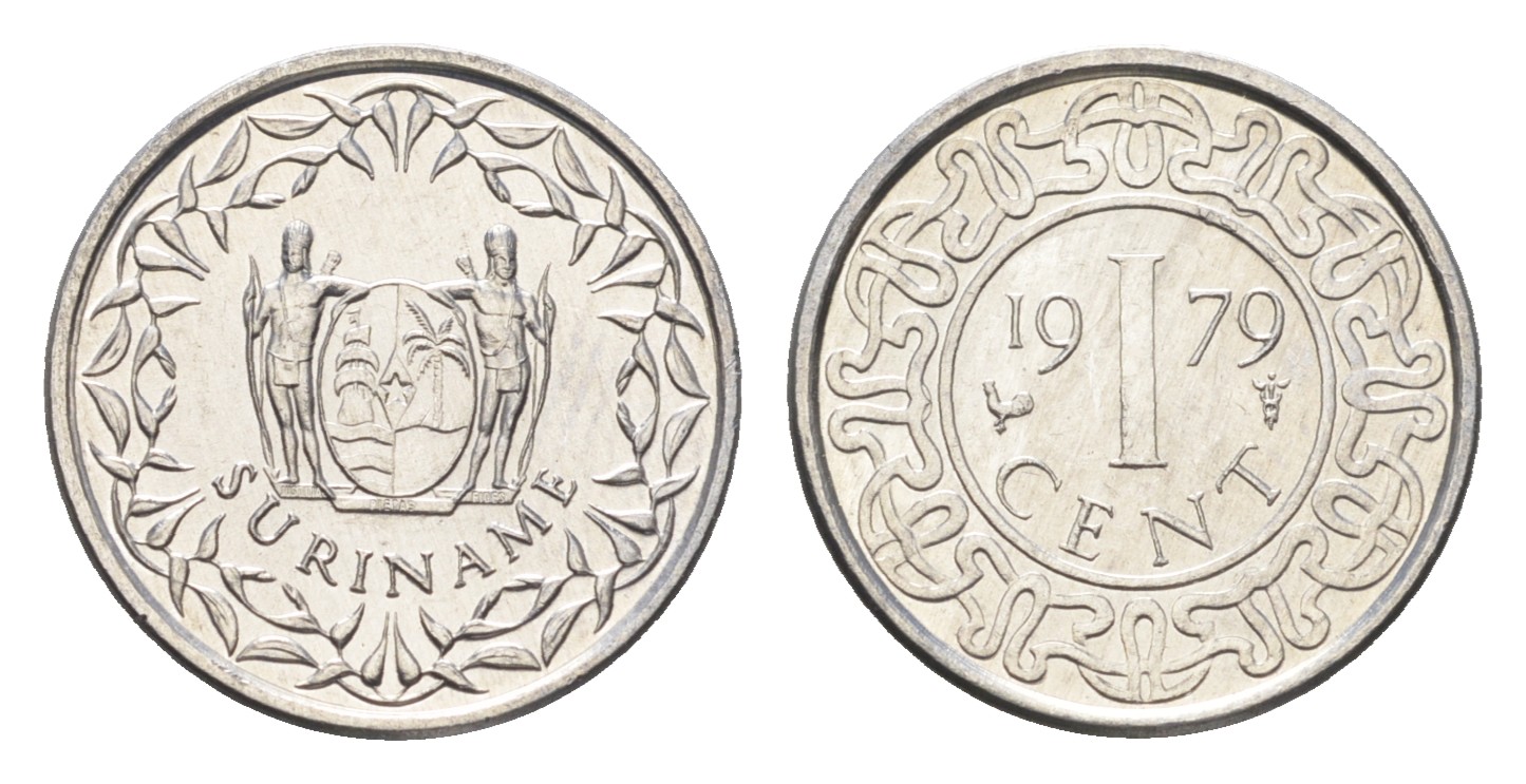 Суринам 1 цент 1976  KM 11 a алюминий  UNC  4659-537