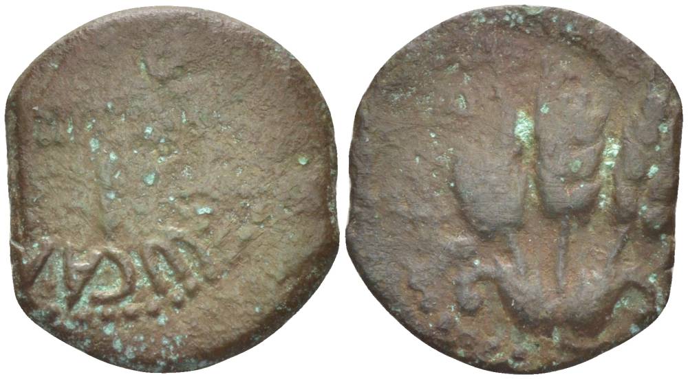 Иудея, династия Ирода прута 37 - 43 Агриппа I, греческая легенда 'царь Агриппа', зонт / три хлебных колоса, (дата не вошла при чеканке), Иерусалим Hendin 1244 медь 1073-21-42