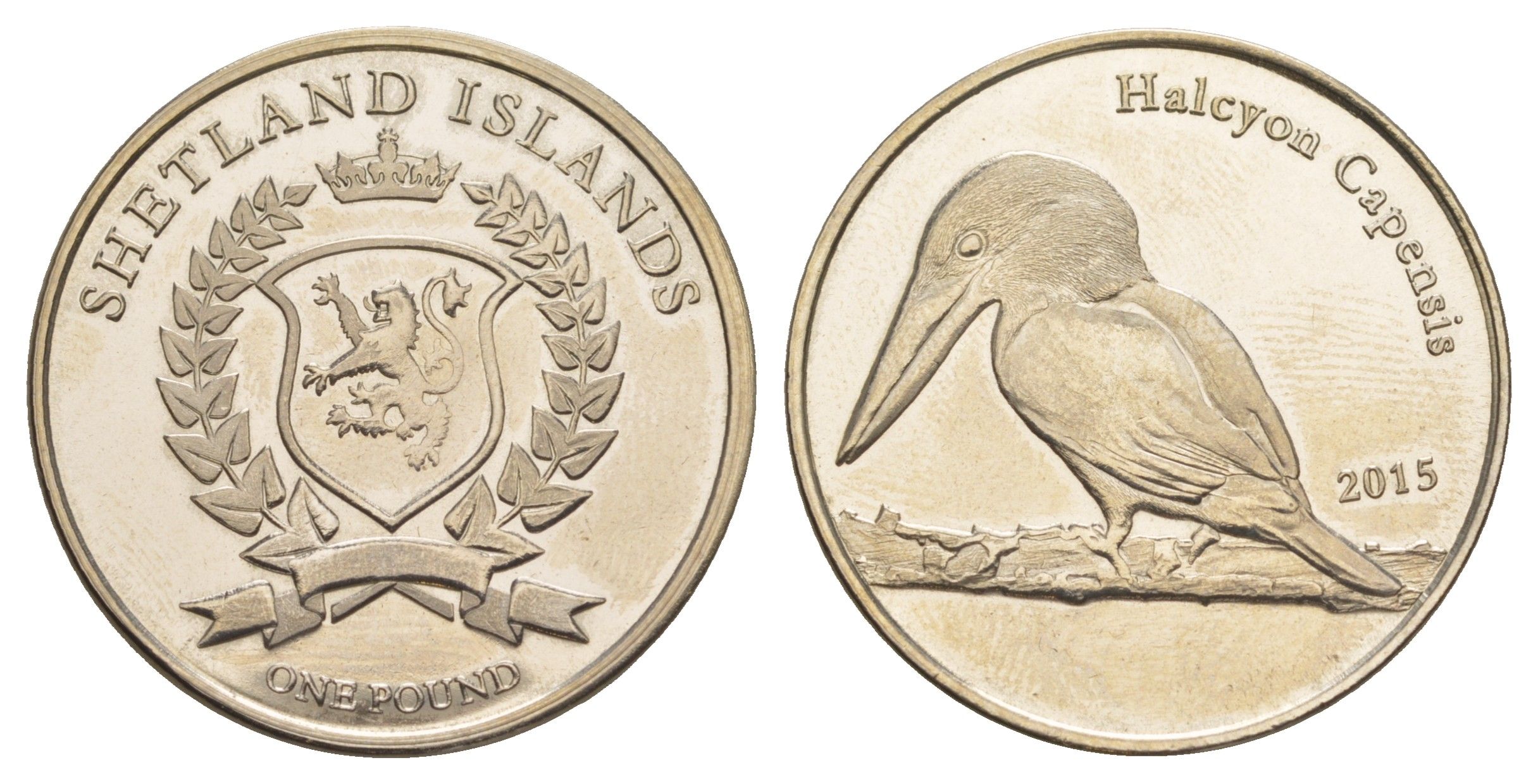 Шетландские острова (Шотландия) 1 фунт 2015 Аистоклювый зимородок медно-никель BU 4645-432