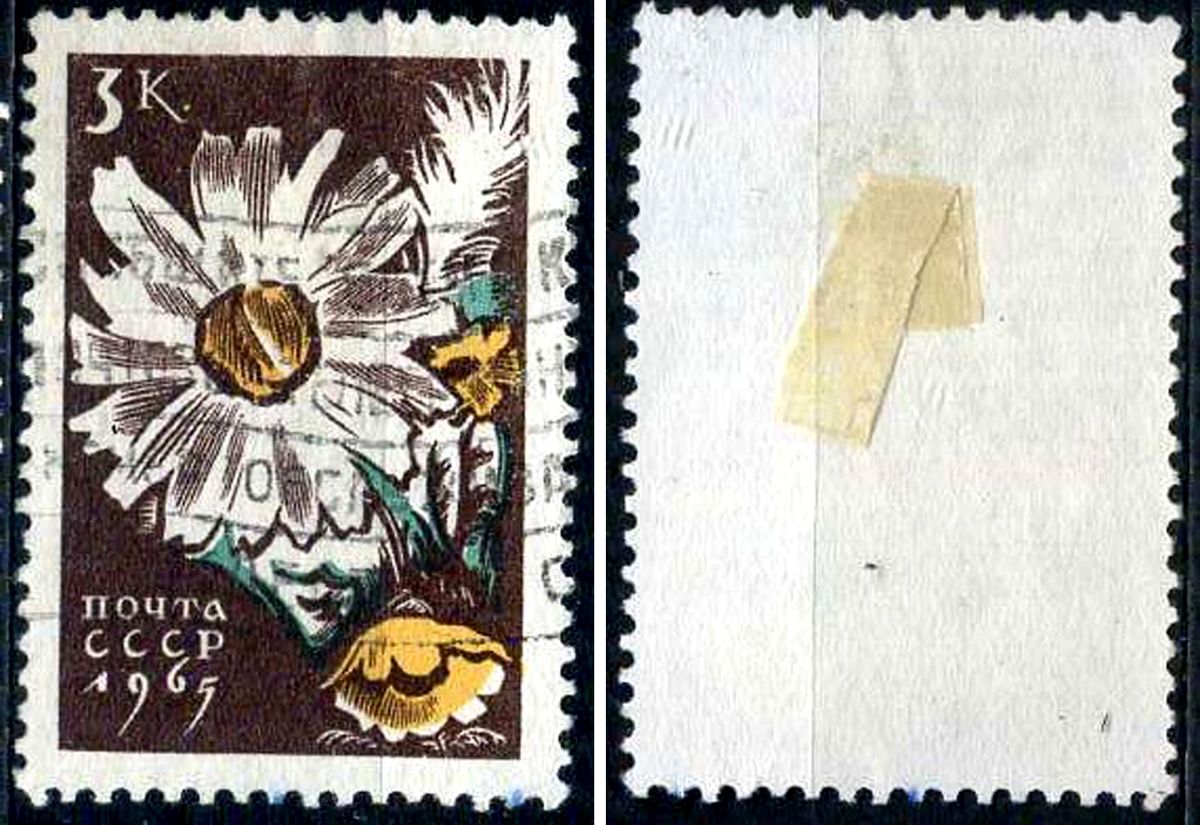 СССР марка 3 копейки 1965 цветы - ромашка Загорский 3103 почтовое гашение 8699-9-6-3