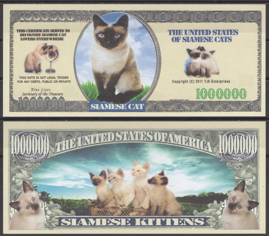 США 1000000 долларов 2011 сиамская кошка бумага UNC (пресс) 7197-2-1