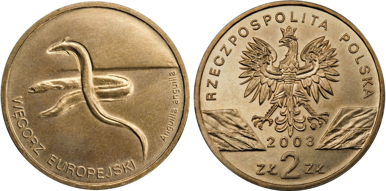 Польша 2 злотых 2003 MW, серия сохраним природу, европейский угорь KM 445 нордик  UNC  1523-813
