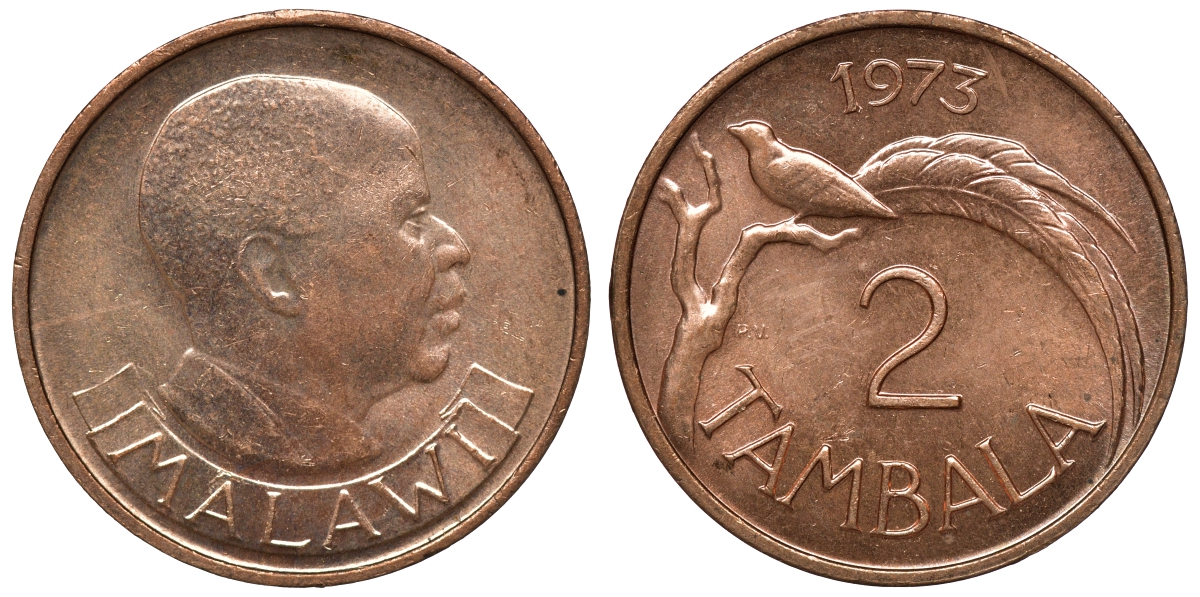 Малави 2 тамбала 1973 райская вдовушка (птица) KM 8.1 бронза aUNC 4118-234