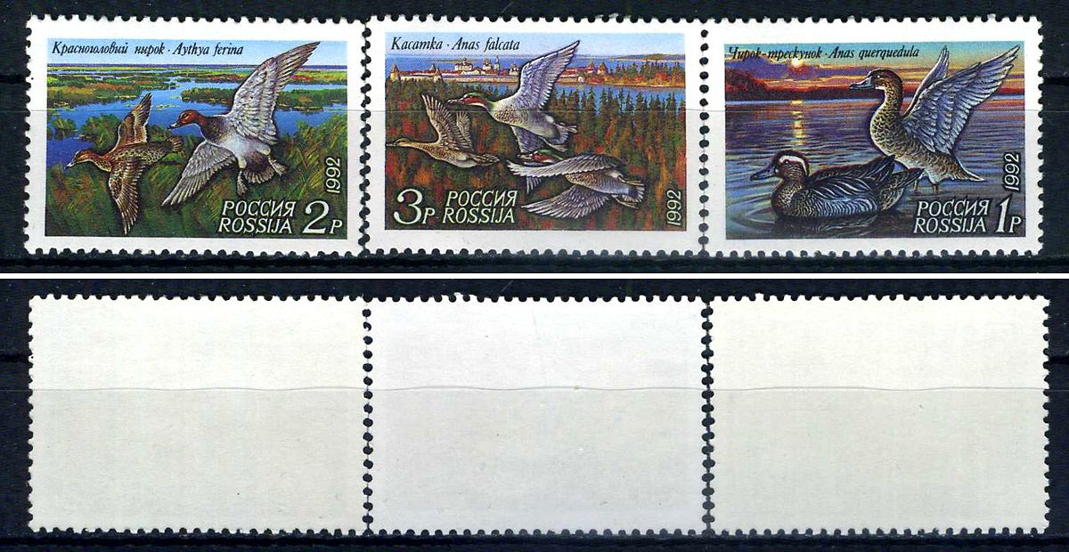 Россия набор из 3 марок (1, 2 и 3 рубля) 1992 уктки - чирок-трескунок, красноголовый нырок, касатка Загорский F 35, F 36, F 37    марка с оригинальным клеем, без следов наклейки (чистая) 8707-5-6-1