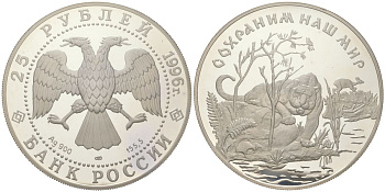 Россия 25 рублей 1996 ЛМД, сохраним наш мир - Амурский тигр, вес 173,2 гр, диаметр 60 мм Y 536 серебро PROOF 11-097-22-2