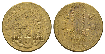 Нидерланды жетон для сбора средств в пользу жертв Первой мировой войны 1914 диаметр 29 мм, вес 11,09 гр  латунь    4127-832