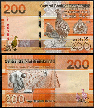 Гамбия 200 даласи 2019 птица, рисовые плантации Pick 42 a  бумага  UNC (пресс) 448-79-3