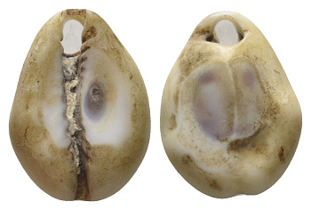 Гвинея, Территория Индийского Океана каури до 1882 деньги домонетного периода 11-069-51