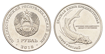 Приднестровье 1 рубль 2018 Красная книга - Русский осётр (Acipenser gueldenstaedtii) KM 303 сталь плакированная никелем UNC 4669-1123