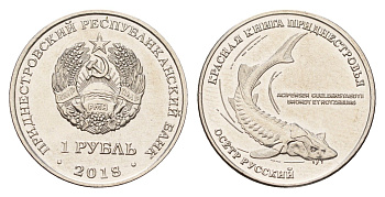 Приднестровье 1 рубль 2018 Красная книга - Русский осётр (Acipenser gueldenstaedtii) KM 303 сталь плакированная никелем UNC 4669-1124