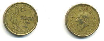 Турция 5000 лир 1996 Мустафа Кемаль Ататюрк KM 1029.1 латунь 176-1044