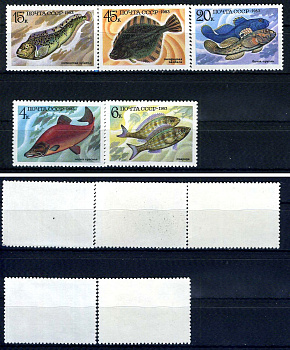 СССР набор из 5 марок (4, 6, 15, 20 и 45 копеек) 1983 Промысловые рыбы - красная нерка, смарида, пятнистая зубатка, бычок-кругляк, звездчатая камбала Загорский 5346, 5347, 5348, 5349, 5350    марка с оригинальным клеем, без следов наклейки (чистая) 8707-4