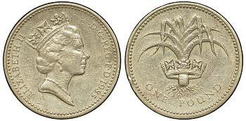 Великобритания 1 фунт 1985 Елизавета II (1952-2022) KM 941, Spink 4331 никель латунь 51-757