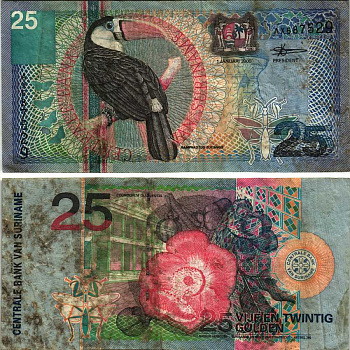Суринам 25 гульденов 2000 белогрудый тукан, курупита гвианская Pick 148 бумага 7548-109-3-1