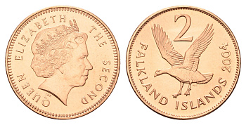 Фолклендские острова (Фолкленды) 2 пенса 2004 Елизавета II (1952-2022), магелланов гусь KM 131 сталь плакированная медью UNC 4666-411
