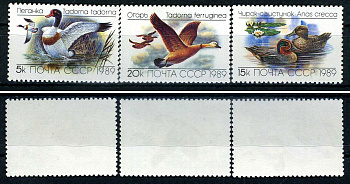 СССР набор из 3 марок (5, 15 и 20 копеек) 1989 утки - пеганка, чирок-свистунок, огарь Загорский 6017, 6018, 6019    марка с оригинальным клеем, без следов наклейки (чистая) 8707-5-1-3