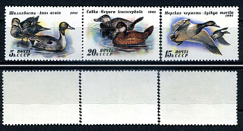 СССР набор из 3 марок (5, 15 и 20 копеек) 1991 утки - шилохвость, морская чернеть, савка Загорский 6268, 6269 и 6270    марка с оригинальным клеем, без следов наклейки (чистая) 8707-5-5-1