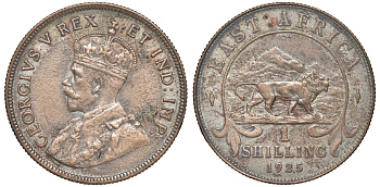 Британская Восточная Африка 1 шиллинг 1925 Георг V (1910-1936) KM 21 серебро 51-1521