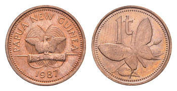 Папуа-Новая Гвинея 1 тойя 1987 KM 1 бронза UNC 4651-837