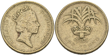 Великобритания  1 фунт 1985 Елизавета II (1952-2022) KM 941, Spink 4331 никель латунь 81-1022