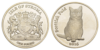Остов Строма (Шотландии) 1 фунт 2016 серия Кошки - Шотландская вислоухая кошка медно-никель UNC 4645-423