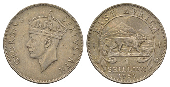 Британская Восточная Африка 1 шиллинг 1950 H, Георг VI (1936-1952) KM 31 медно-никель 4626-727