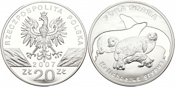 Польша 20 злотых 2007 серия сохраним наш мир, длинномордый тюлень KM 603 серебро PROOF 1091-2-24