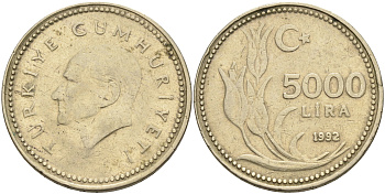 Турция 5000 лир 1992  KM 1025 никель-бронза    4117-223