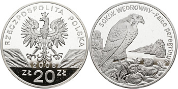 Польша 20 злотых 2008 серия всемирная природа, сапсан KM 637 серебро PROOF 01-150-13