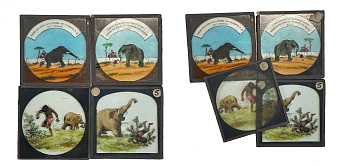 Нидерланды лот из 4 фотокарточек нарисованы от руки на линзе, 1 слон и шарманщик музыка имеет чары; 2 слон привлекает внимание своим хоботом и поднимает его; 3 слон побеждает человека скидывая его в кактус; 4 побежденный человек уходит 3-6-6-33