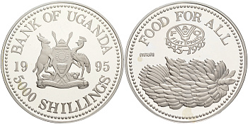 Уганда 5000 шиллингов 1995 50 лет FAO, гроздь бананов KM 128 серебро PROOF 02-263-45