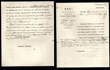 Россия, МВД, канцелярия Саратовской губернии документ на запрос на разрешению на торговлю (продажа книг и картин) 1897 бумага 439-68-1-2
